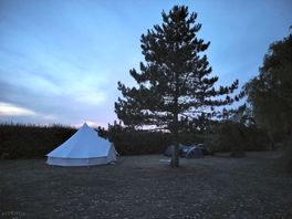 Enjoying a peaceful evening