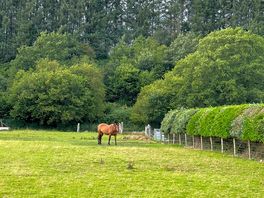Neighbours