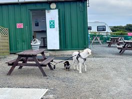 Washing up area also where you can get local info games and books and store any food you take