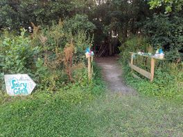 Entrance to the fairy wood