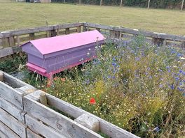 Bee hotel