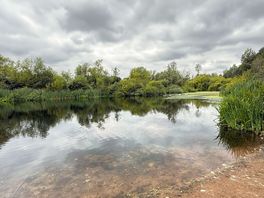 Short walk to the lake.