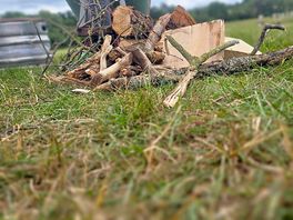 Nothing better than wood collecting