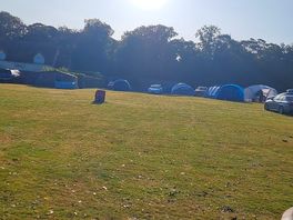 The back field