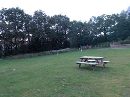 View to the gate and trees with open grass and picnic bench