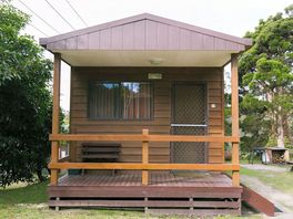 Kangaroo exterior