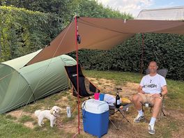 Our tent set up, fully enclosed by hedges and shaded by a tree!