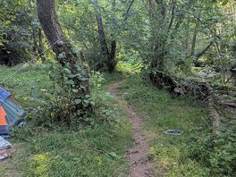 Path through woods next to river.