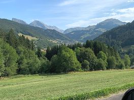 View from the road