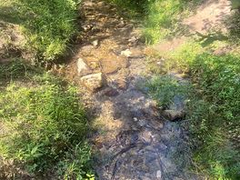 Stream flowing through camp
