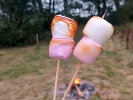Fire and marshmallow