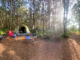 Tent, sunset and dog