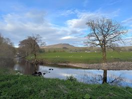 Walk by the river
