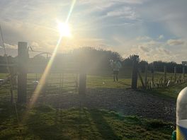 Family playing field