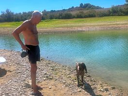Doggie heaven