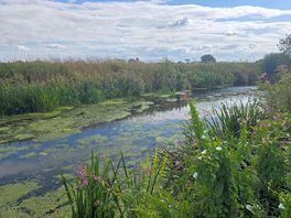 River brue