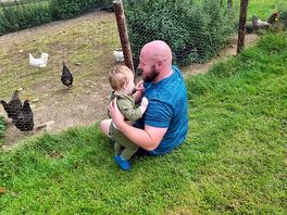 Loved looking over at the chickens