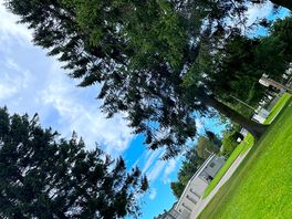 Some views of the campsite