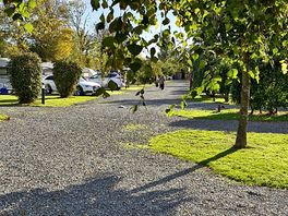 View from the top of the site