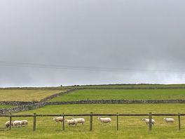 Scenery on arrival