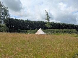 Field