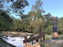 Walk along the river