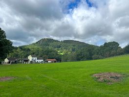 View from our tent