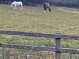 Friendly neighbours