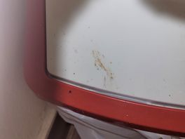 Sanitory bin