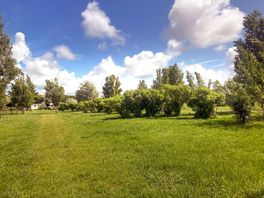 Level grass pitches