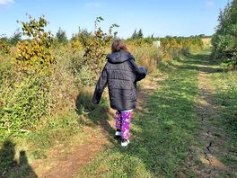 Morning walk