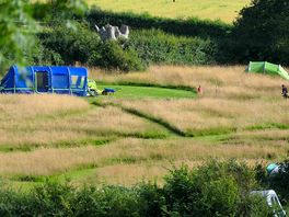 Meadow pitches