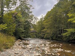 The popular river