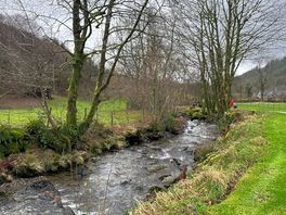 Steam onsite with picnic tables close by.