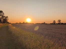 Evening walk