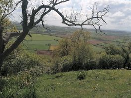 Stunning walk along the top