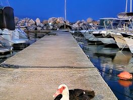 Beach area