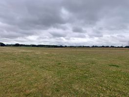 Camping field