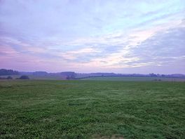 Morning mist
