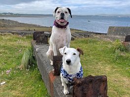 Enjoying exploring