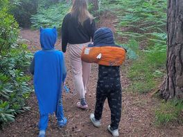 Walks in the woods