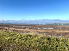 Estuary view