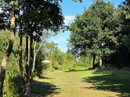 Nice trees