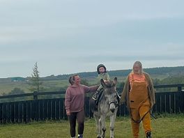 Donkey rides