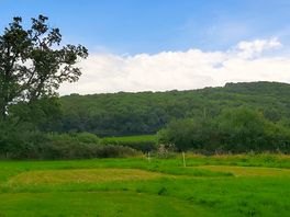 Campsite