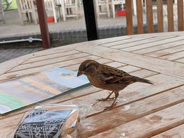 Friendly staff in the cafe 😆