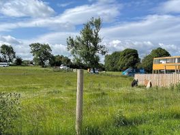 Converted bus and miniature ponies!