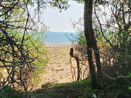 Caught during a walk back from beach