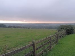 Our view for the evening