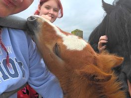 Cuddles with spirit